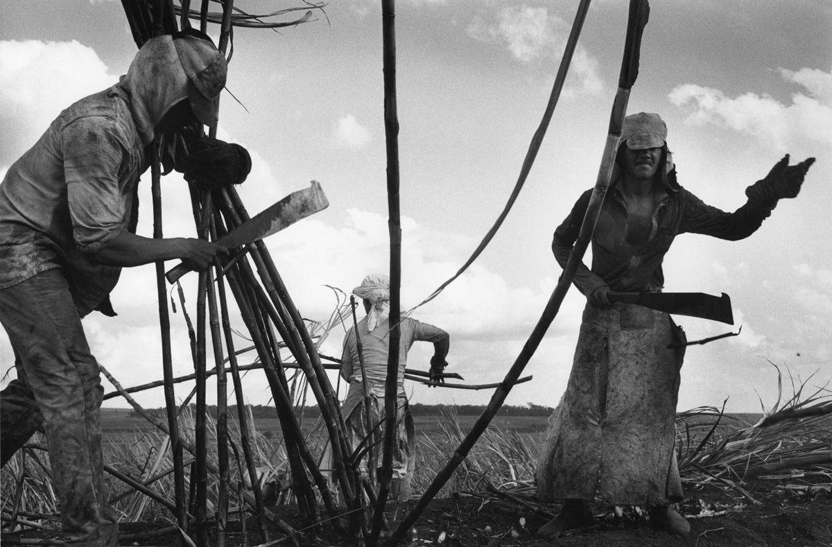 Фотограф Себастио Сальгадо (Sebastiao Salgado)